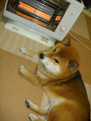 2013.2.14.02.jpg