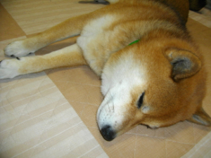 2013.2.14.03.jpg