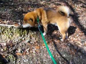 2013.2.16.01.jpg