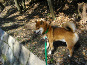 2013.2.16.02.jpg