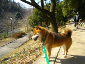 2013.2.16.03.jpg