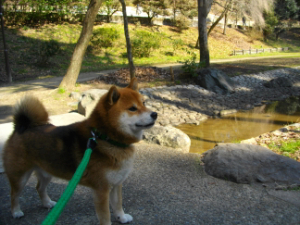 2013.2.16.04.jpg