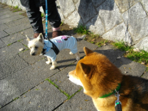 2013.2.401.jpg