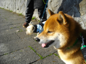 2013.2.402.jpg
