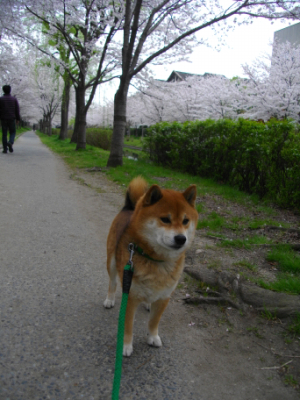 2013.4.15.02.jpg