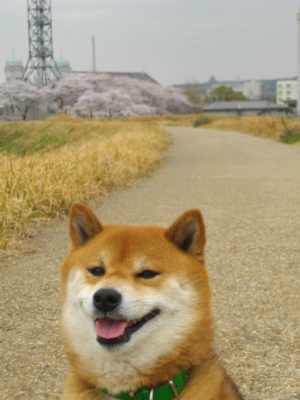 2013.4.15.03.jpg