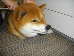 2013.4.15.05.jpg