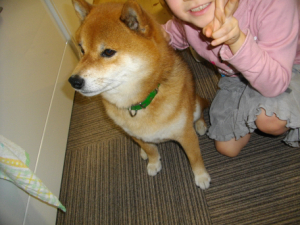2013.4.19.01.jpg