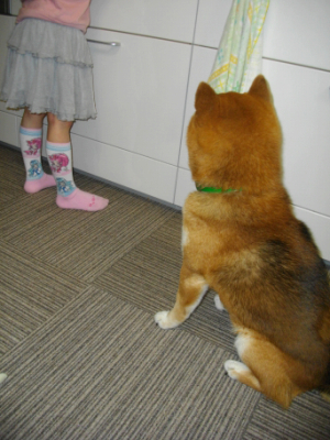2013.4.19.02.jpg