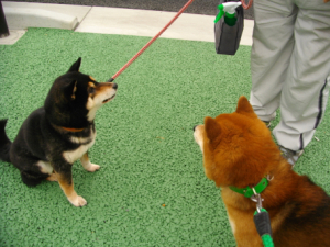 2013.4.26.01.jpg