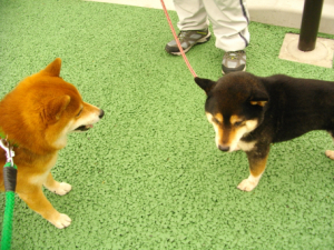 2013.4.26.03.jpg