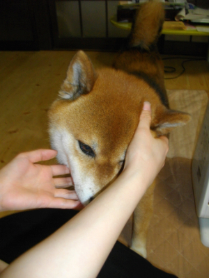2013.4.29.01.jpg