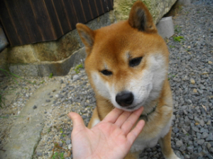 2013.4.3.05.jpg
