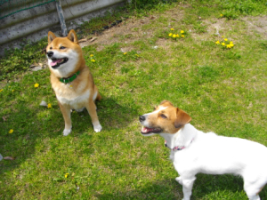 2013.4.30.01.jpg