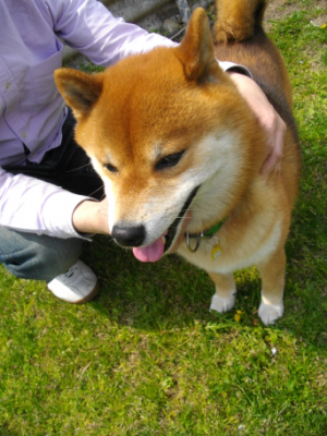 2013.4.30.02.jpg