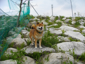 2013.4.30.04.jpg