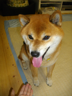 2013.8.1.02.jpg