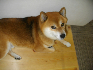 2013.8.27.02.jpg