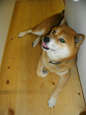 2013.8.27.03.jpg