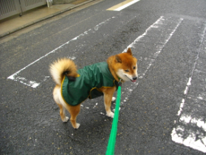 2013.8.30.01.jpg