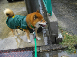 2013.8.30.03.jpg