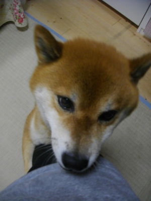 2013.8.5.03.jpg