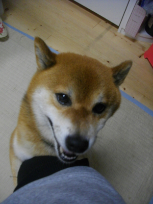 2013.8.5.04.jpg