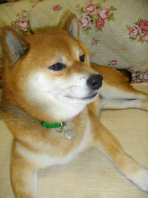 2013.8.9.01.jpg