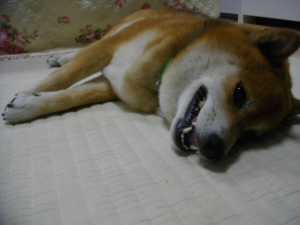 2013.8.9.02.jpg