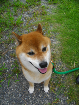 2013.9.17.02.jpg