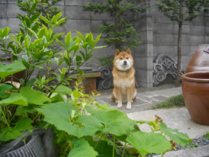 2014.4.29.01.jpg