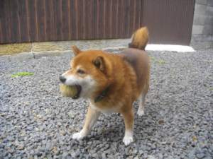 2014.4.29.03.jpg
