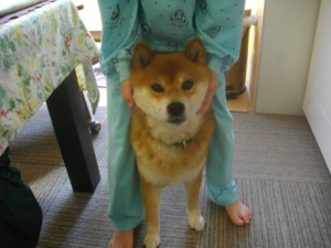 2014.4.7.01+2.jpg