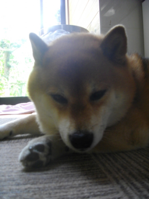 2014.6.4.01.jpg