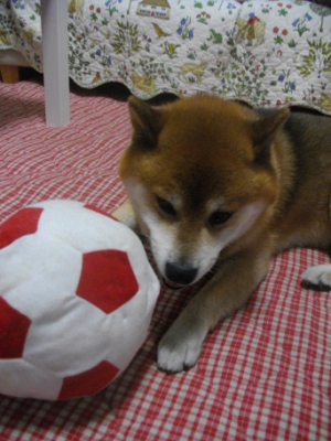 2014.8.25.01.jpg