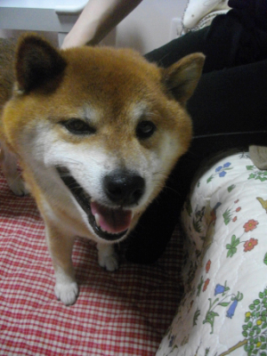 2014.8.25.02.jpg