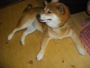 2014.8.31.02.jpg