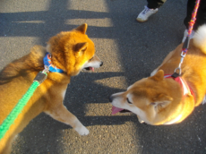 2015.04.11.02.jpg