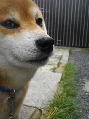 2015.04.25.01.jpg