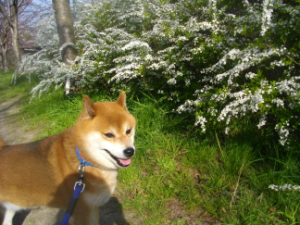 2015.04.8.01.jpg
