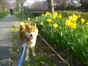 2015.04.8.02.jpg