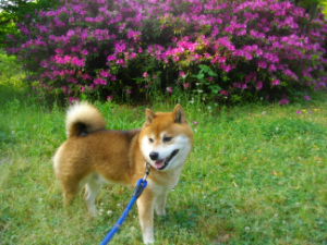 2015.06.15.01+1.jpg