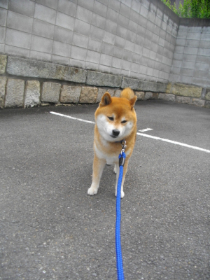 2015.06.23.01.jpg