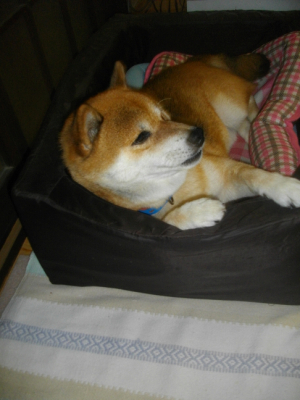 2015.08.06.02.jpg