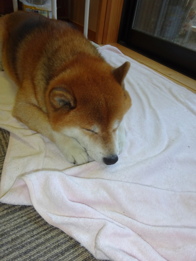 2015.12.30.01.jpg