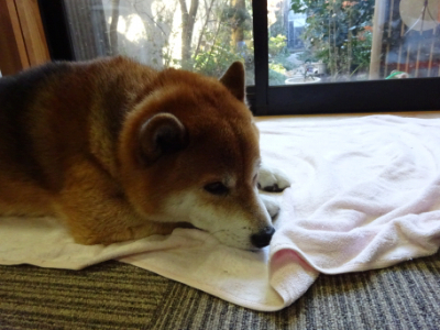 2015.12.30.02.jpg