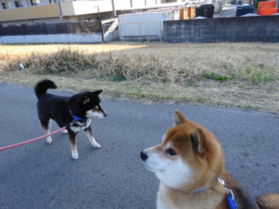2016.3.21.02.jpg