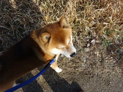 2016.3.26.03.jpg