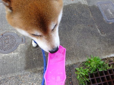 2016.4.11.04.jpg