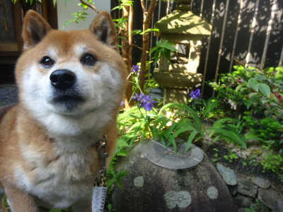 2016.5.2.02.jpg